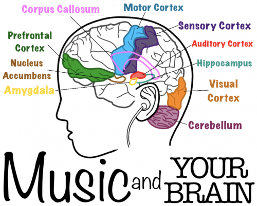 Music And The Brain SQ Online