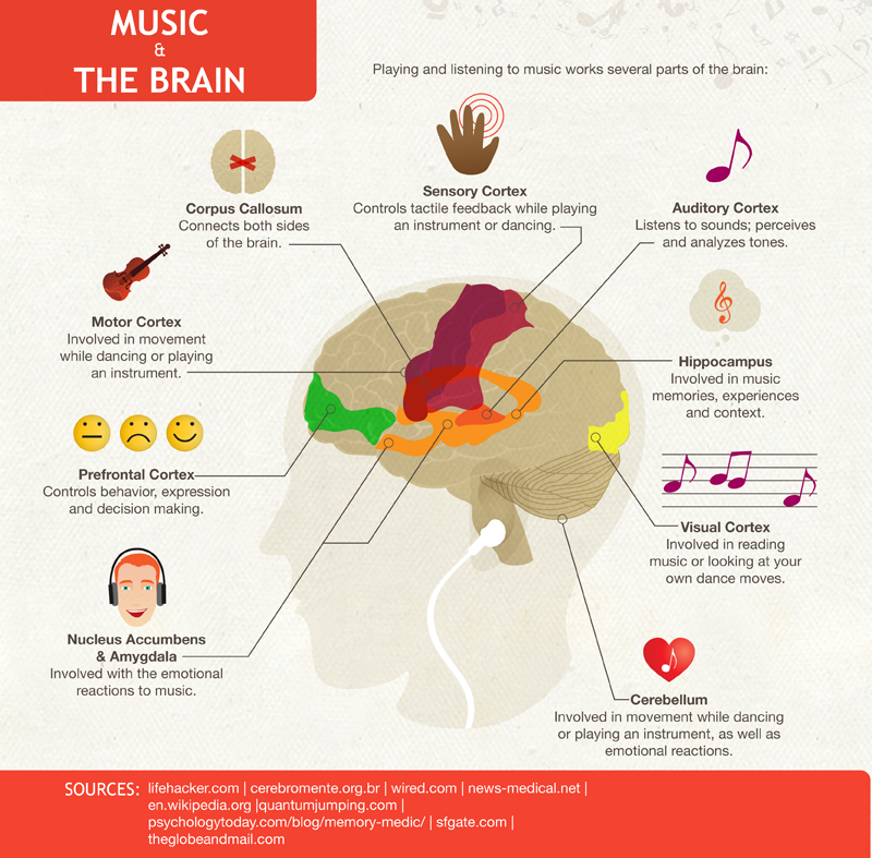 music effects on the brain essay