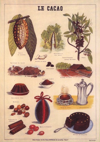 Le-Cacao