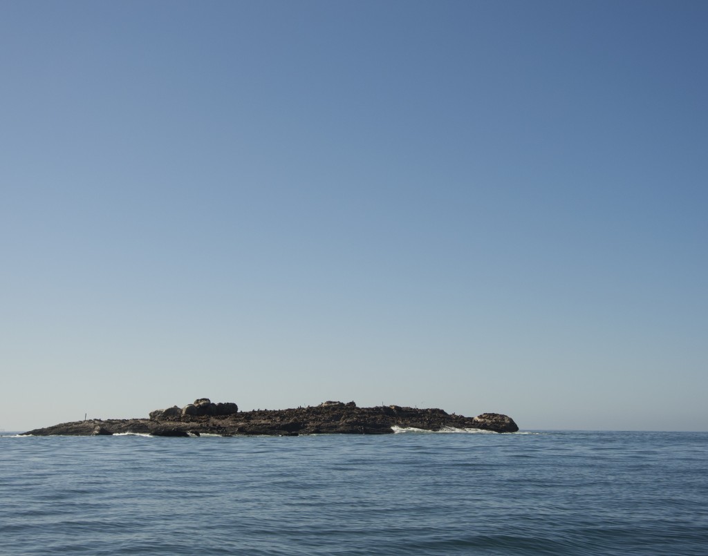 seal island