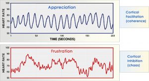 graph_cortical_facilitation_inhibition