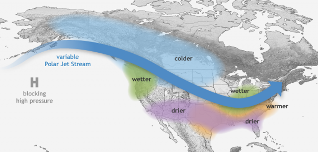 Congratulations! This Year’s Weather Is A Girl! – SQ Online