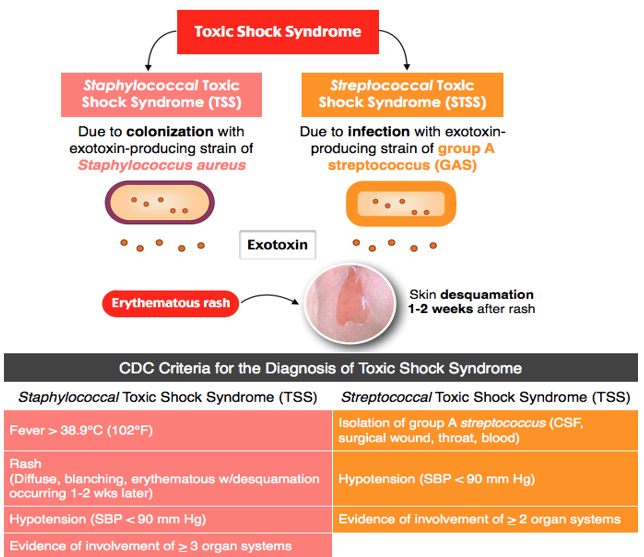 Menstrual toxic shock syndrome