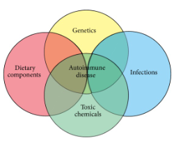 Diet and Autoimmunity – SQ Online