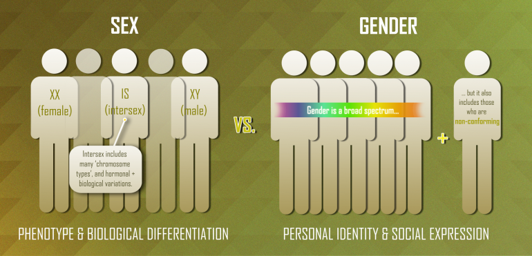 Let S Talk About Sex Binary A Discussion About Sex Gender And Biology Sq Online