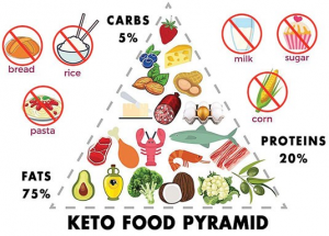 Taking a Closer Look at the Keto Diet and its Implications – SQ Online