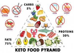 Ketogenic Diets and Exercise