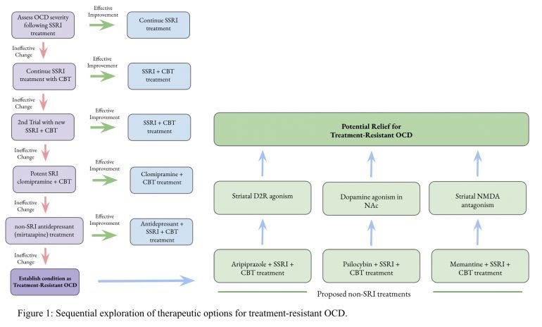 Novel Non-SSRI Treatments for OCD: Pharmacotherapies Targeting CSTC ...