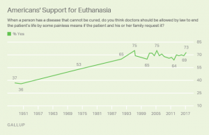 an essay about euthanasia