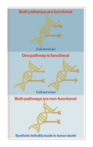 dna