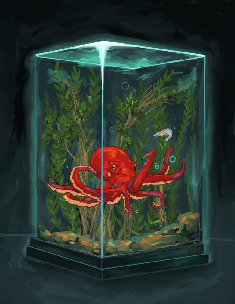 Illustrated by Vickie Nguyen