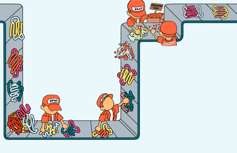 Illustrated by Jenny To